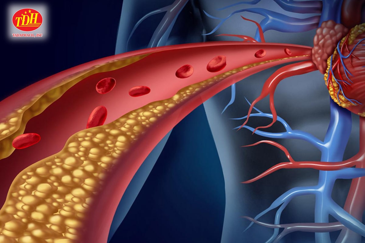 Nấm linh chi giúp cân bằng cholesterol cho người dùng