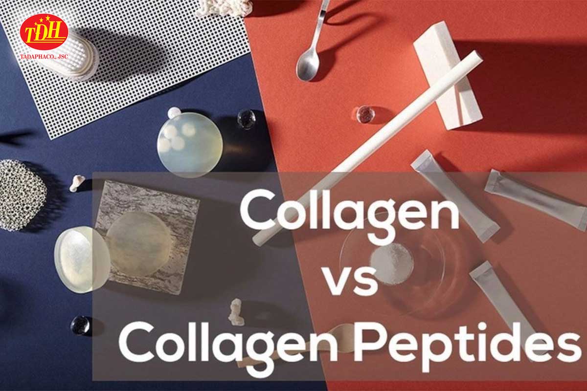 Nên có sự lựa chọn hợp lý giữa hai loại Collagen Peptide và Collagen thông thường